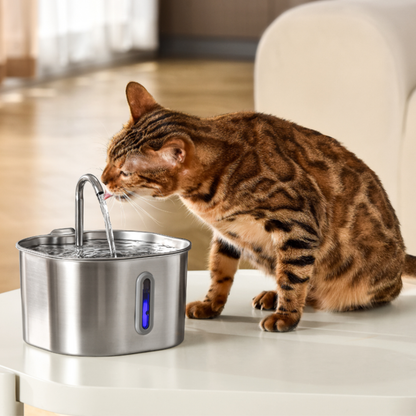 FeliHydra™ | Fuente automática silenciosa