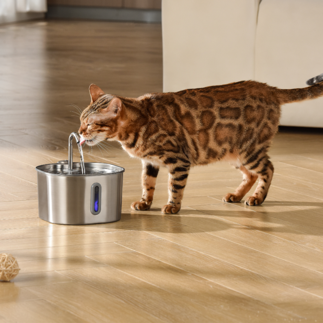 FeliHydra™ | Fuente automática silenciosa